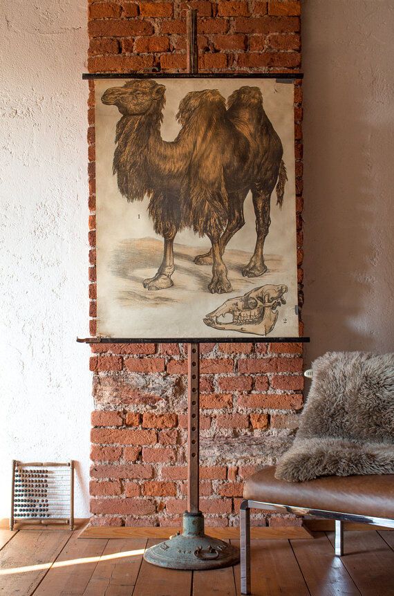 Poster "Camel" wall Engleders lithograph by J. F. Schreiber 1897