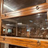 Large Classic English Globe Wernicke Bookcase