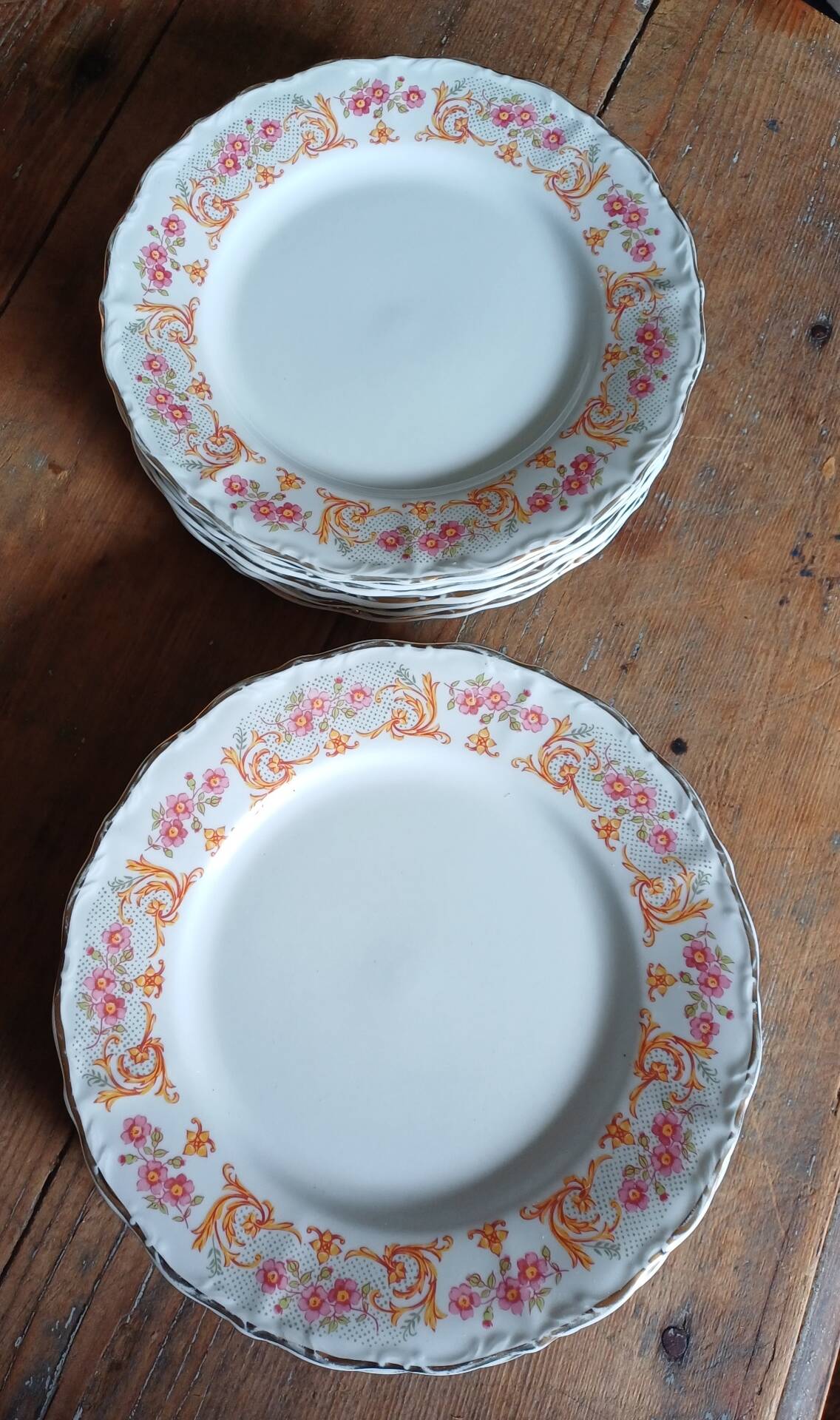Dessert plates Digoin ×10
