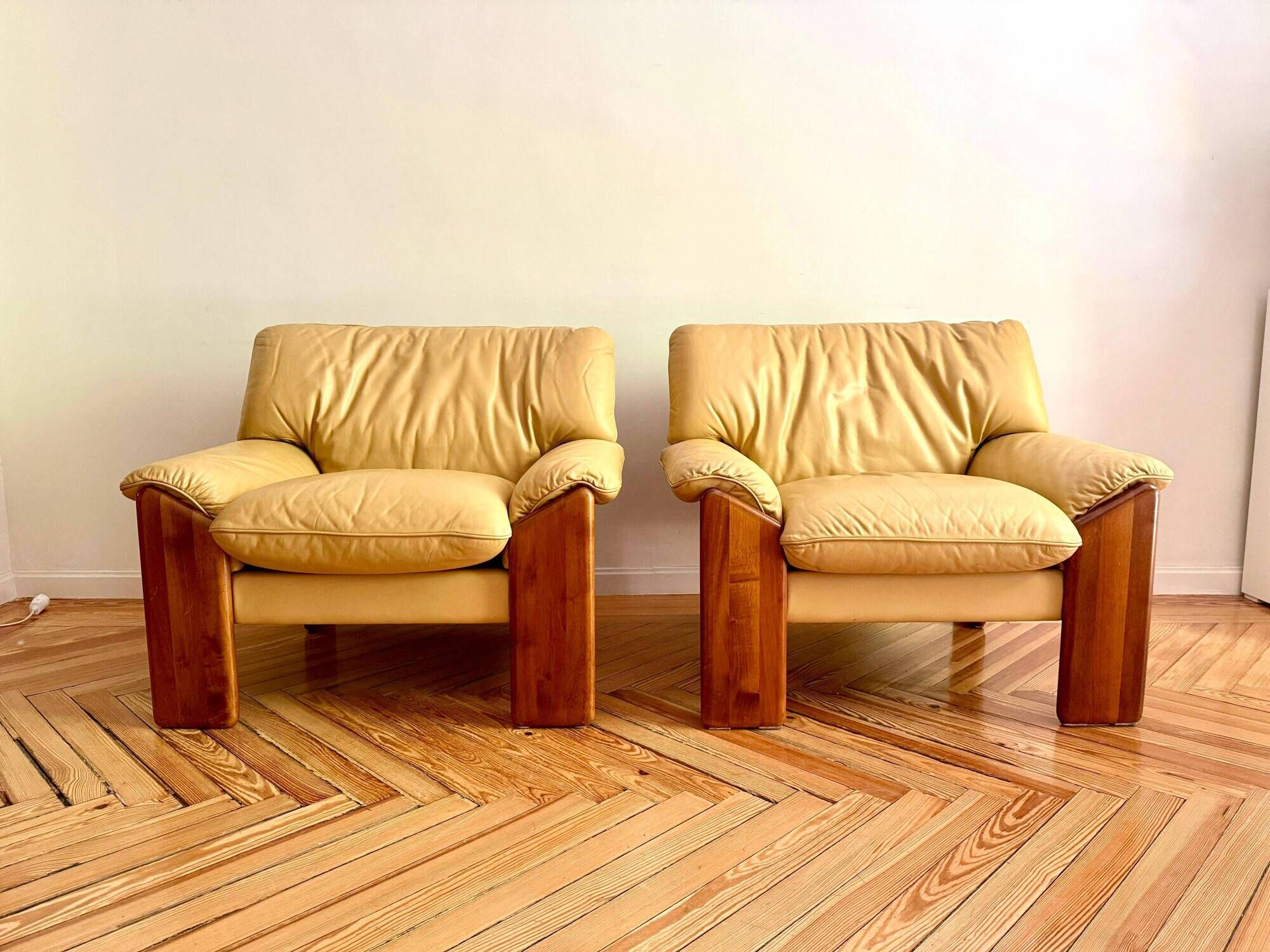 Pair of “Sapporo” armchairs by Mario Marenco for Mobil Girgi, Italy, 1970s