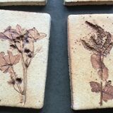 Roger ceramic tiles herbarium model