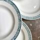 6 deep plates St Amand in blue ironstone