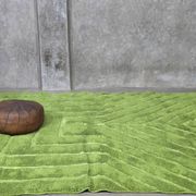 Contemporary Green Carpet - 316 x 242 cm