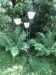 Floor lamp 3 arms scoubidou vintage 50s/60s