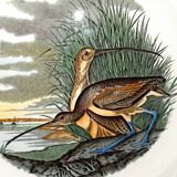 Decorative Plate