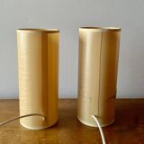 Pair of vintage dried flower lamps