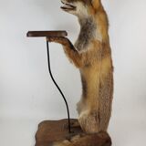 Stuffed Taxidermy Fox Stuffed