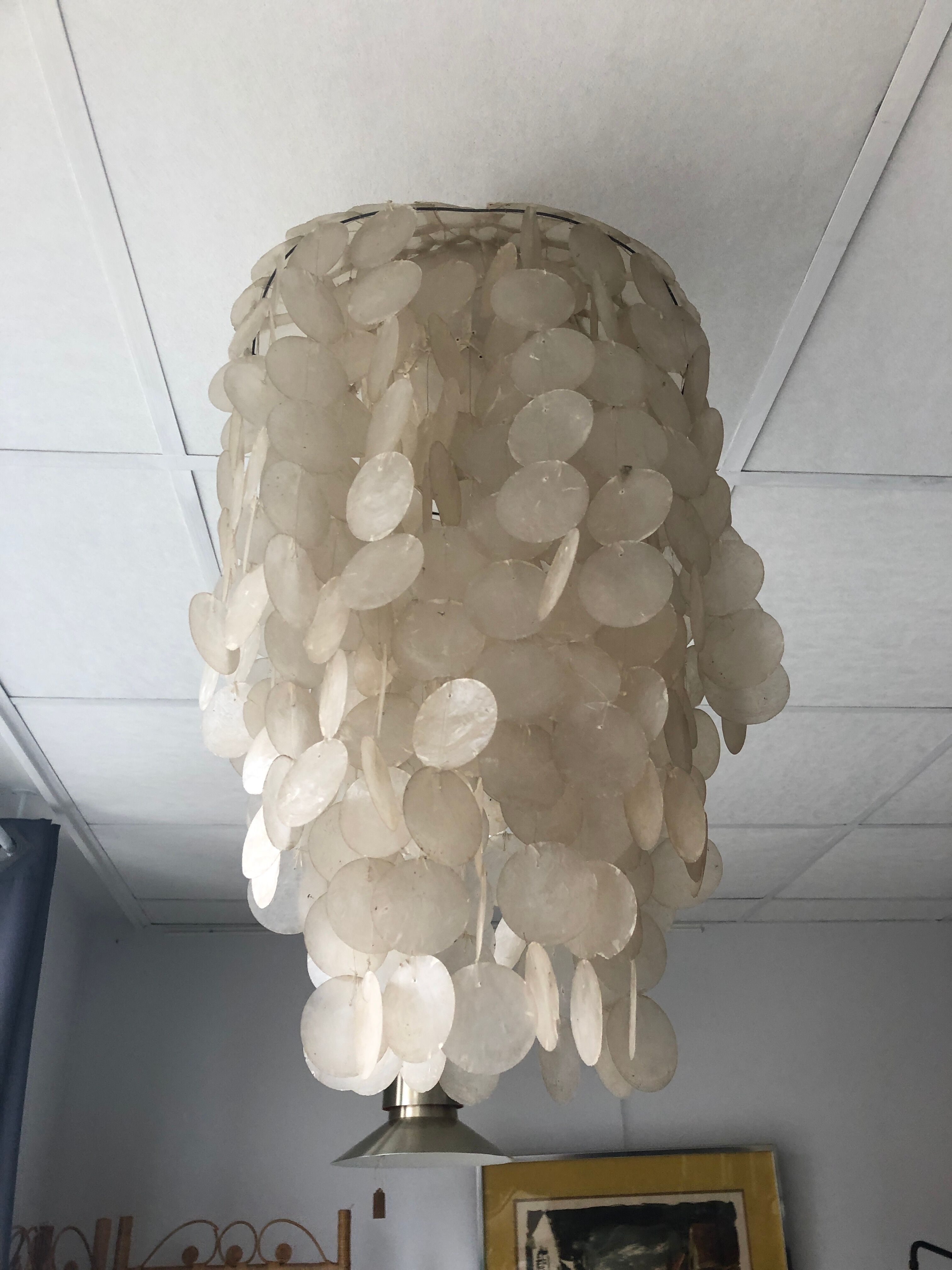 Mother-of-pearl grapevine chandelier, 1970