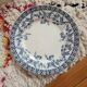 Volubilis Saint Amand and Hamade Nord flat plate