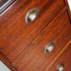Dutch Industrial Mahogany Apothecary Cabinet, Mid-20th Century
