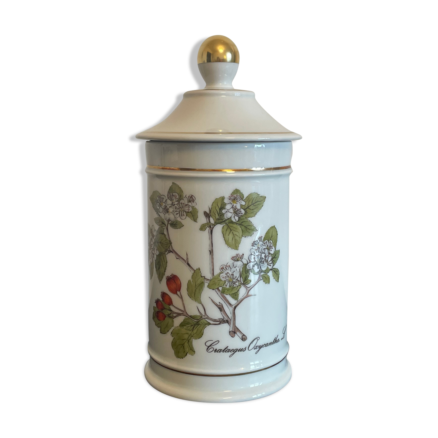 Langenthal pharmacy pot