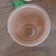 Art Deco vase Souchon Neuvesel no. 1