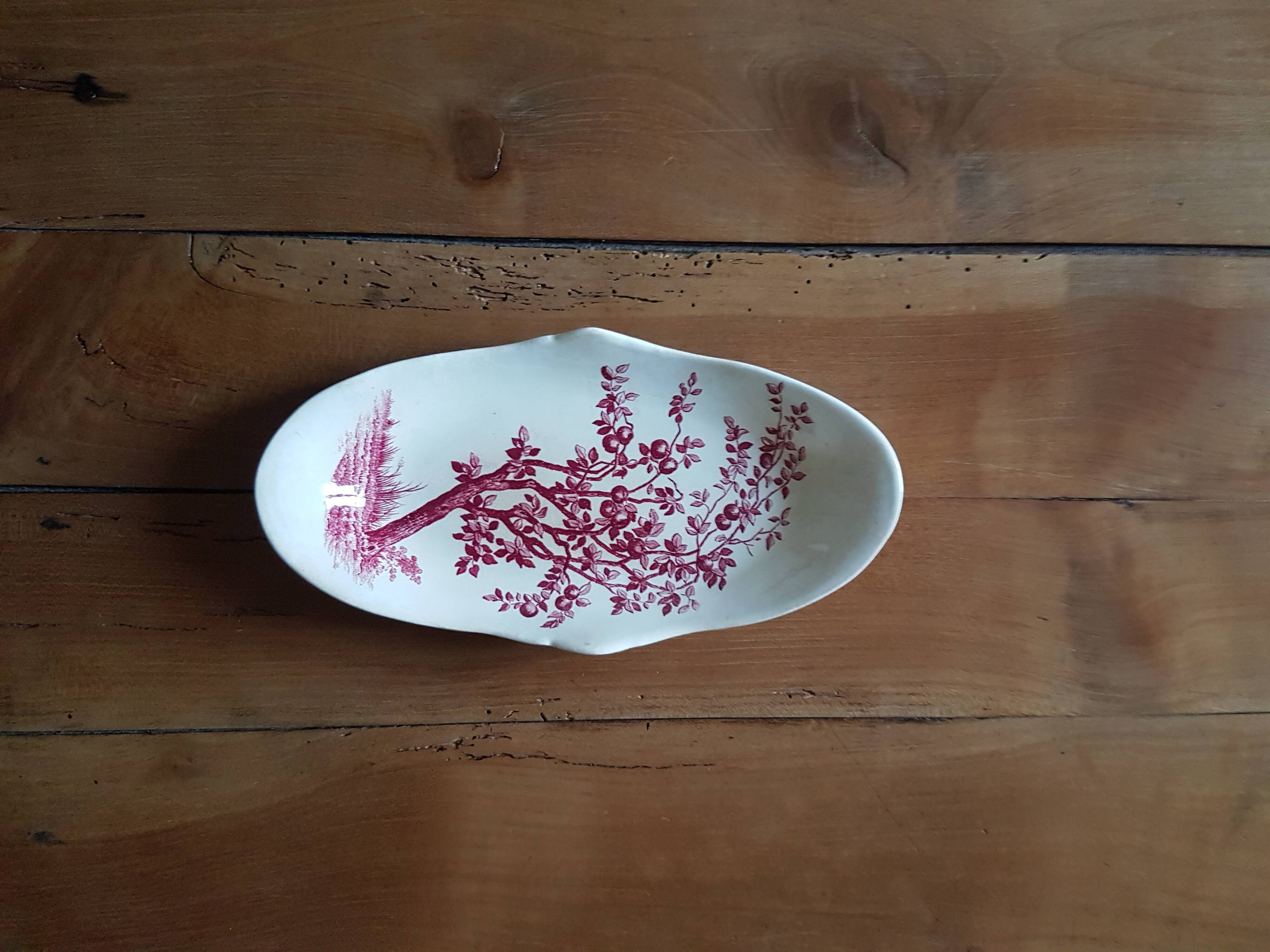 Delight Samaritan Land of Iron