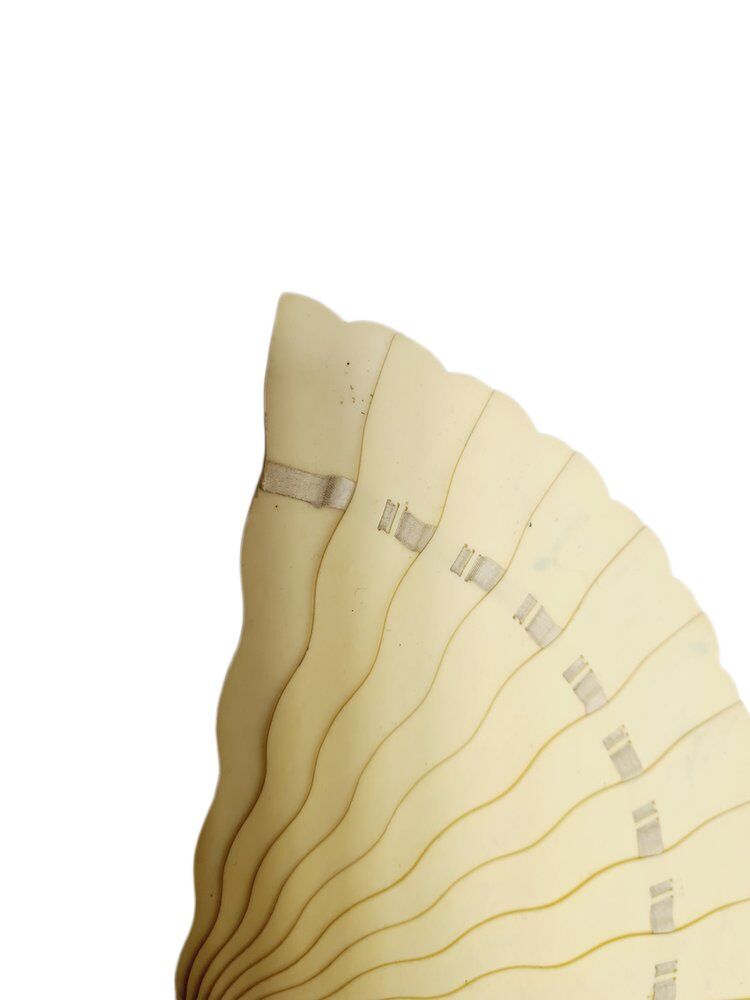 Austro-Hungarian Art Nouveau celluloid fan, 1900s