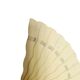 Austro-Hungarian Art Nouveau celluloid fan, 1900s