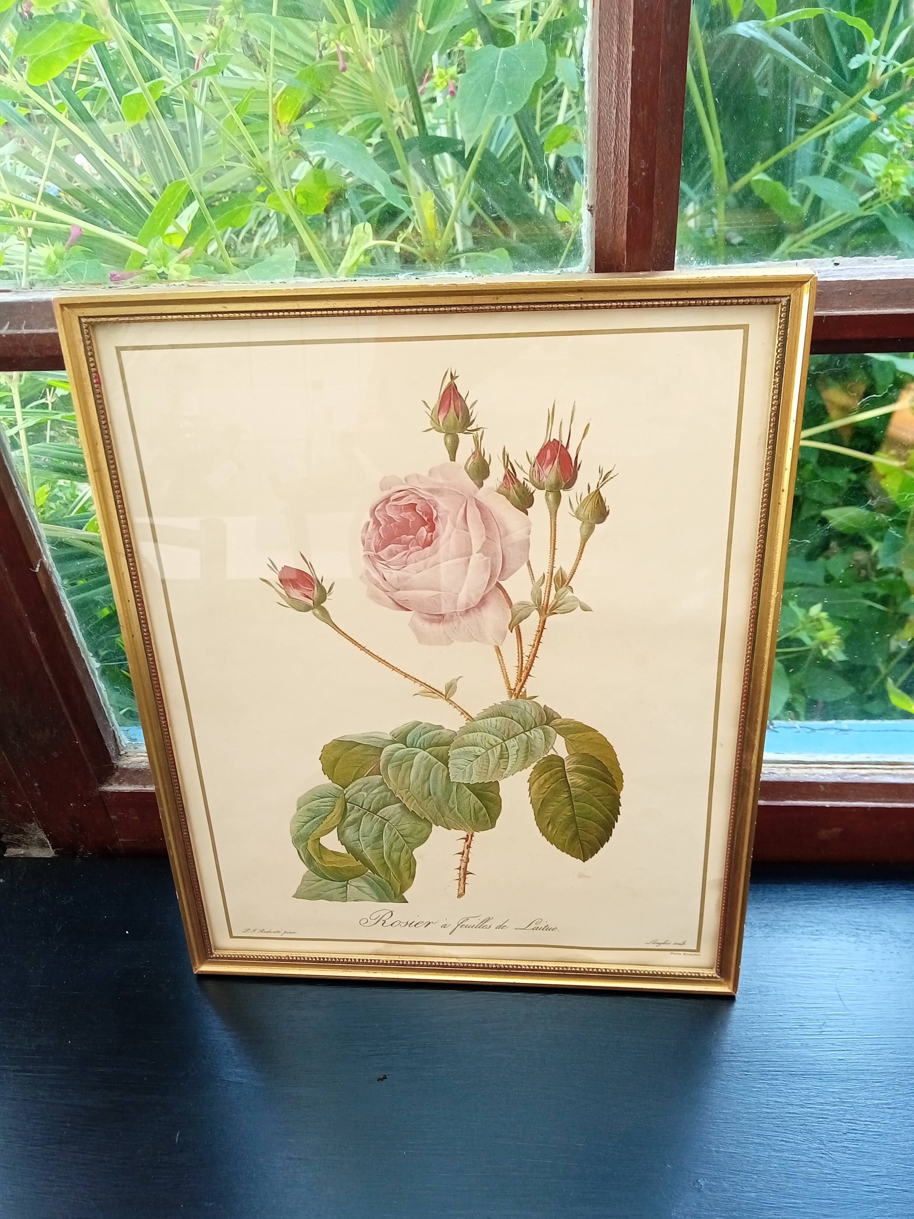 Redouté botanical board