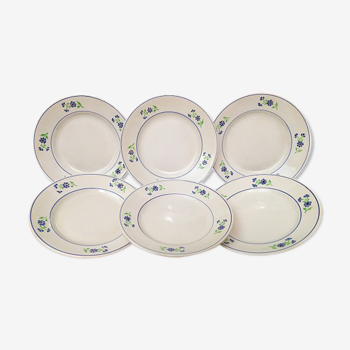 Lot de 6 assiettes plates vintage niderviller modèle « bleuet »