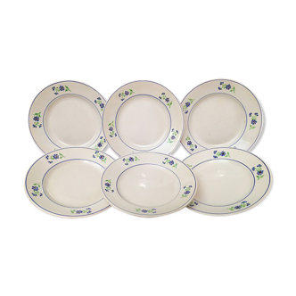 Set of 6 plates vintage niderviller model "blueberry"