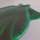 Small vintage old green shell dish