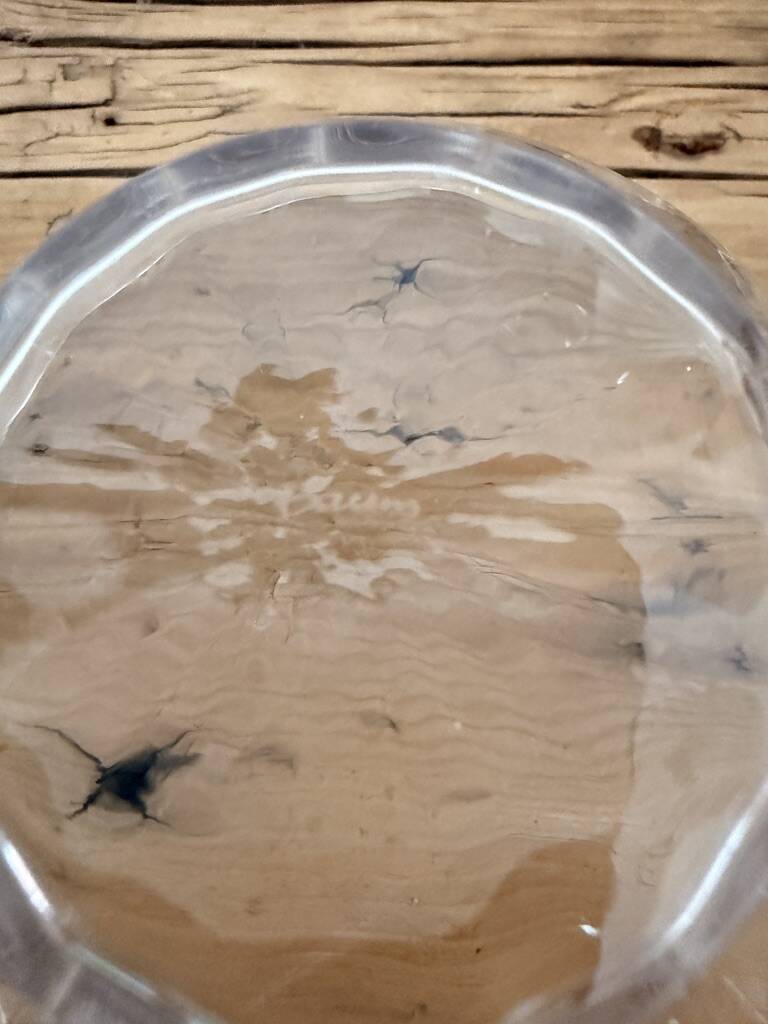 Set of 5 crystal bowls signed Daum France — with original box