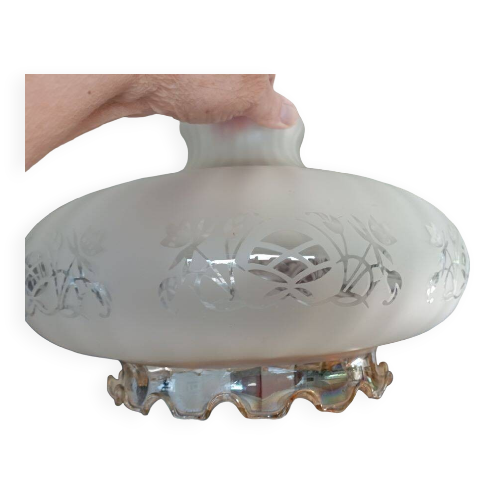 Frosted and smoked glass globe