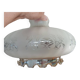 Globe en verre dépoli et fumé