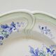 9 Antique KG Lunéville Plates, Regence Model