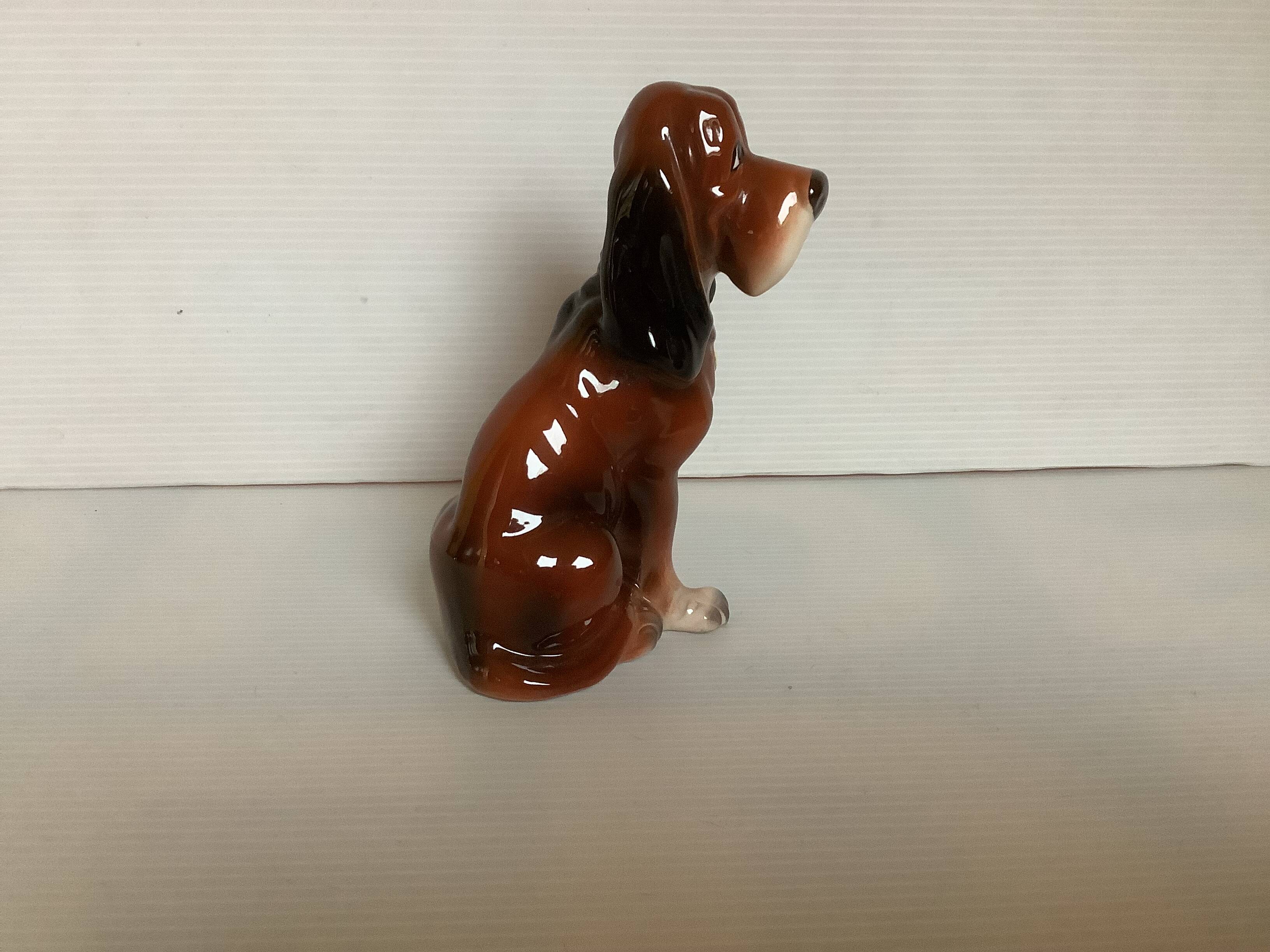 Saint Hubert hunting dog