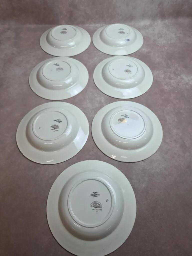 Set of 7 deep plates Digoin Sarreguemines Champagne – Opaque porcelain – Vintage ironstone