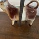 Milk jug - Cow motif - vintage ceramic