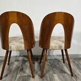 Pair of Dining Chairs by Antonin Suman, 1960s