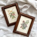 2 small old wooden frames with botanical engraving