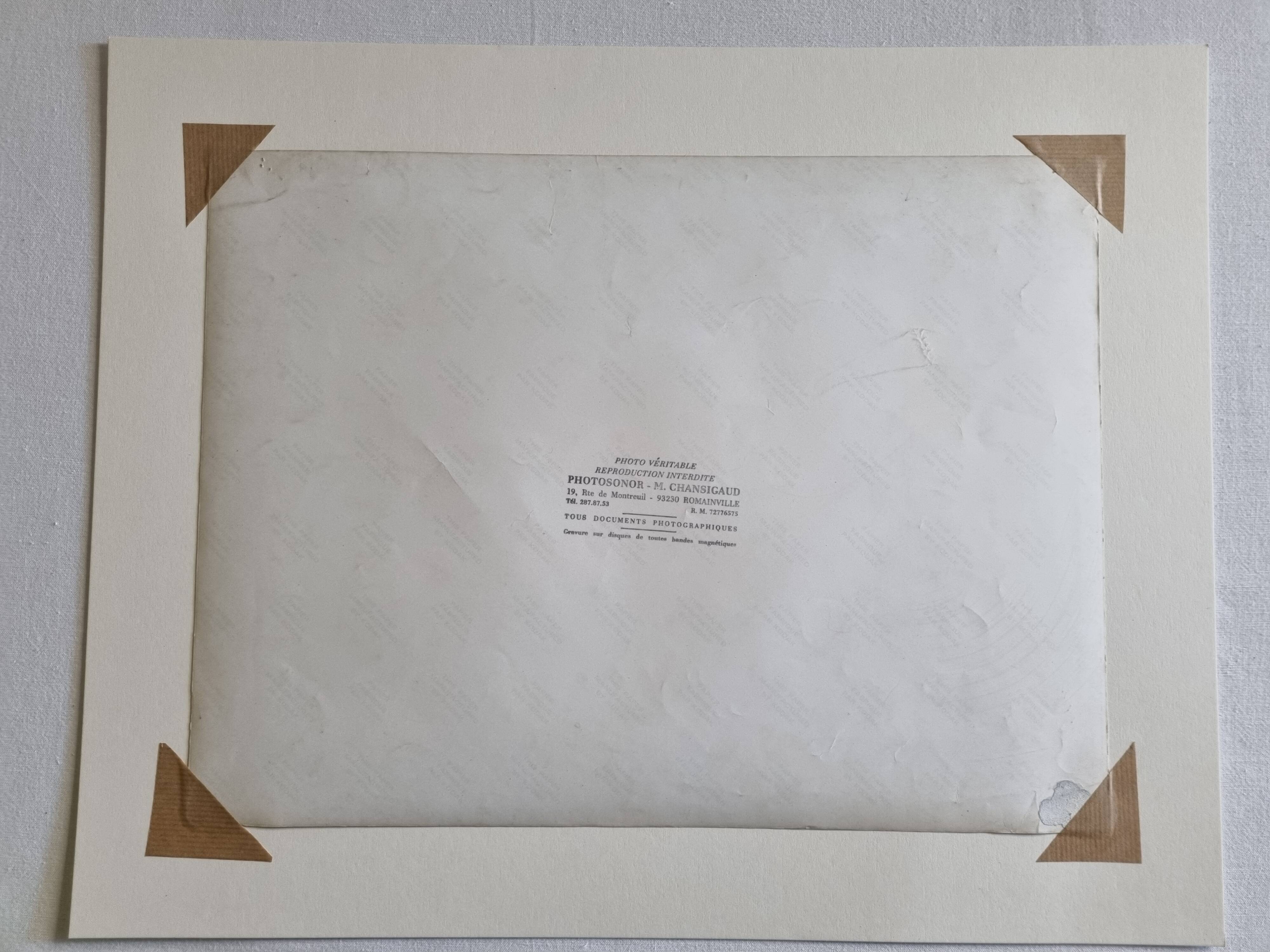 Photographie argentique vintage champignons encadrée années 70 52x42 cm