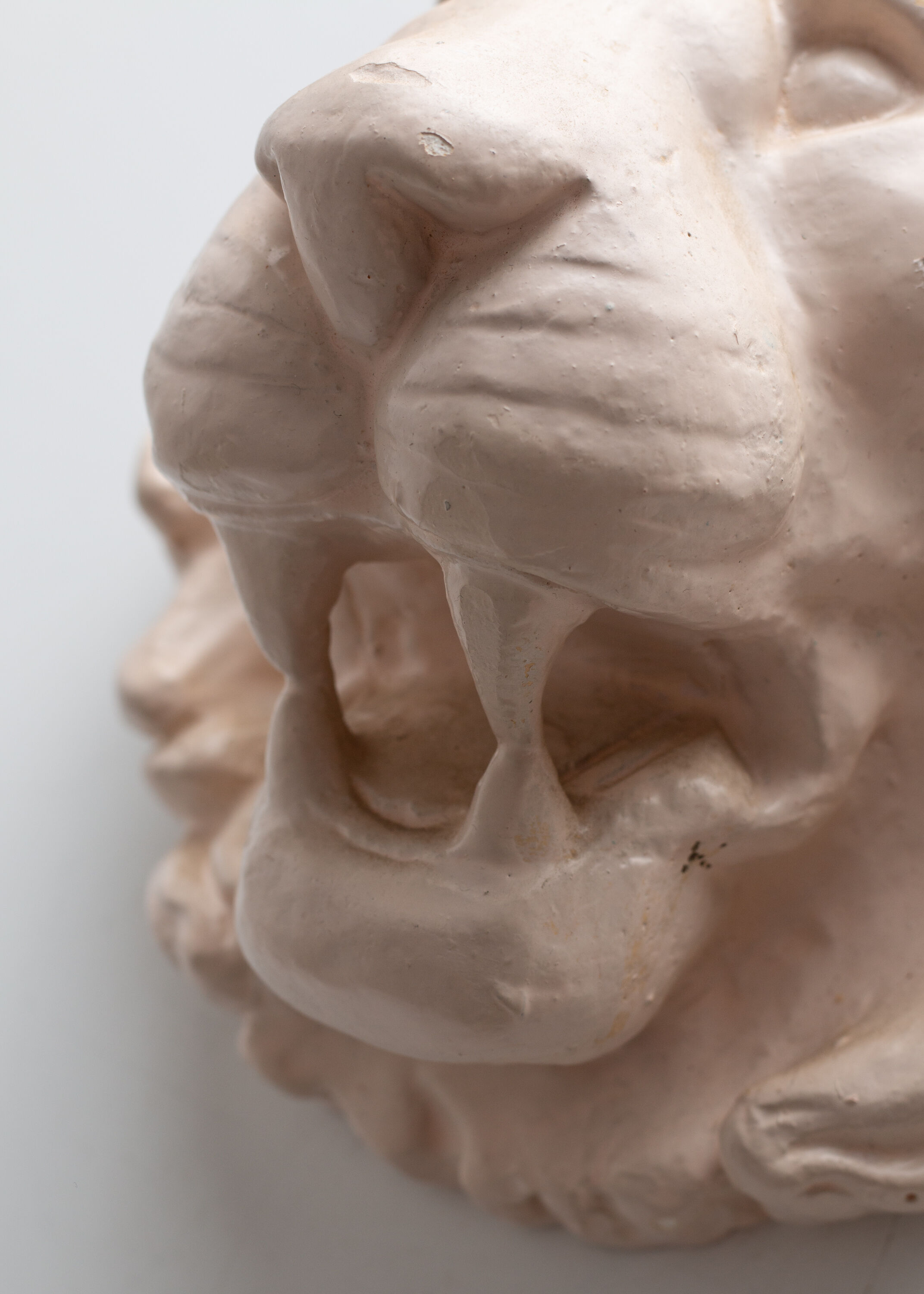 Lion's head in painted plaster
