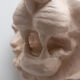 Lion's head in painted plaster