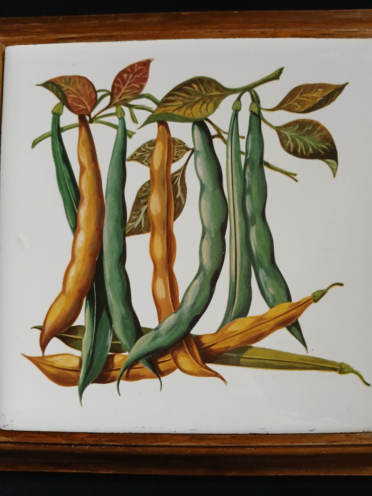 Dessous de plat ancien avec motif botanique