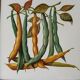 Dessous de plat ancien avec motif botanique