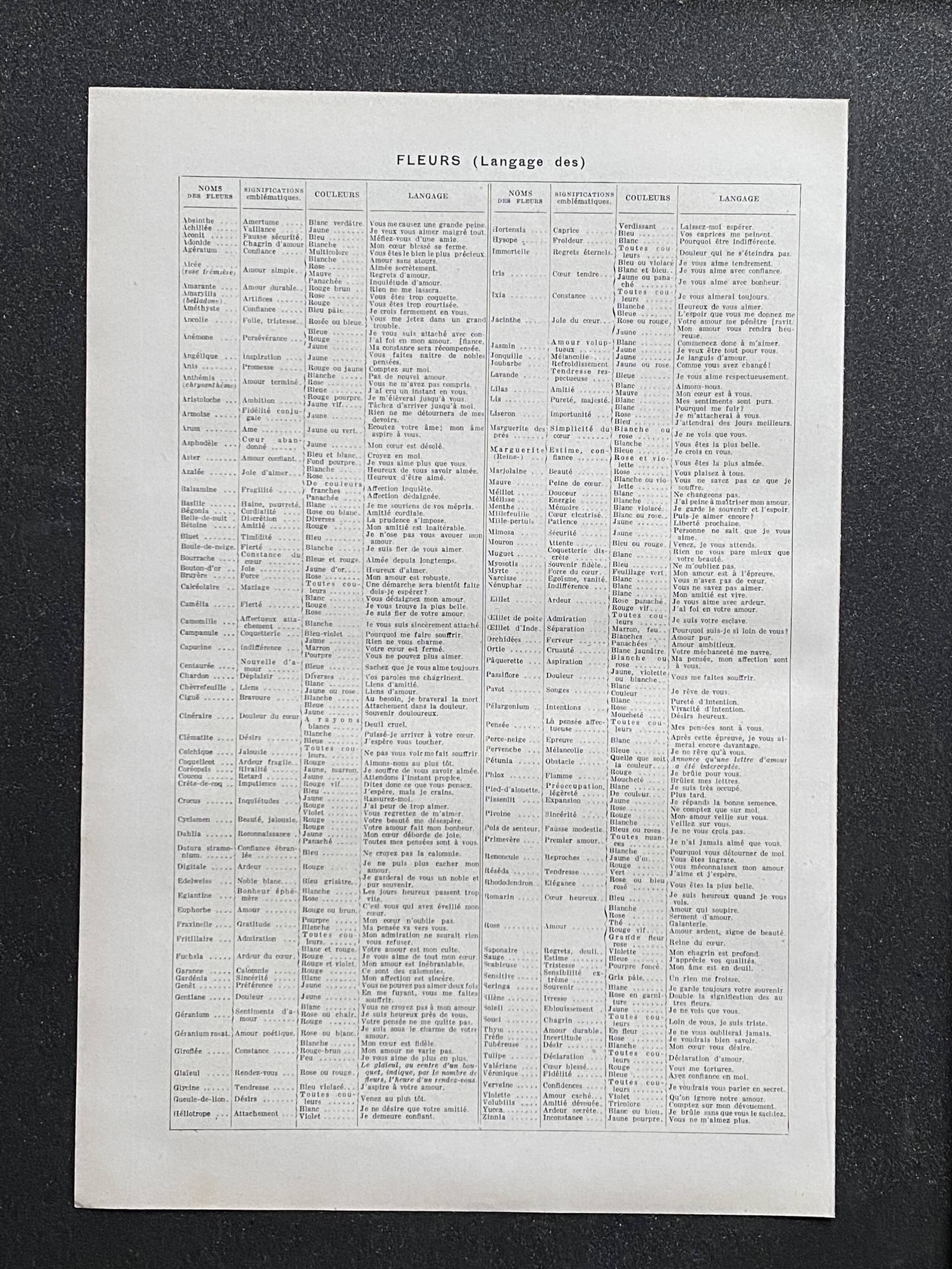 Old illustration Millot "flowers"