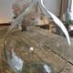 Transparent demijohn 30l