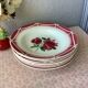 Plates Digoin Cibon Ironstone floral decoration
