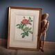 Litho Rosier Pont