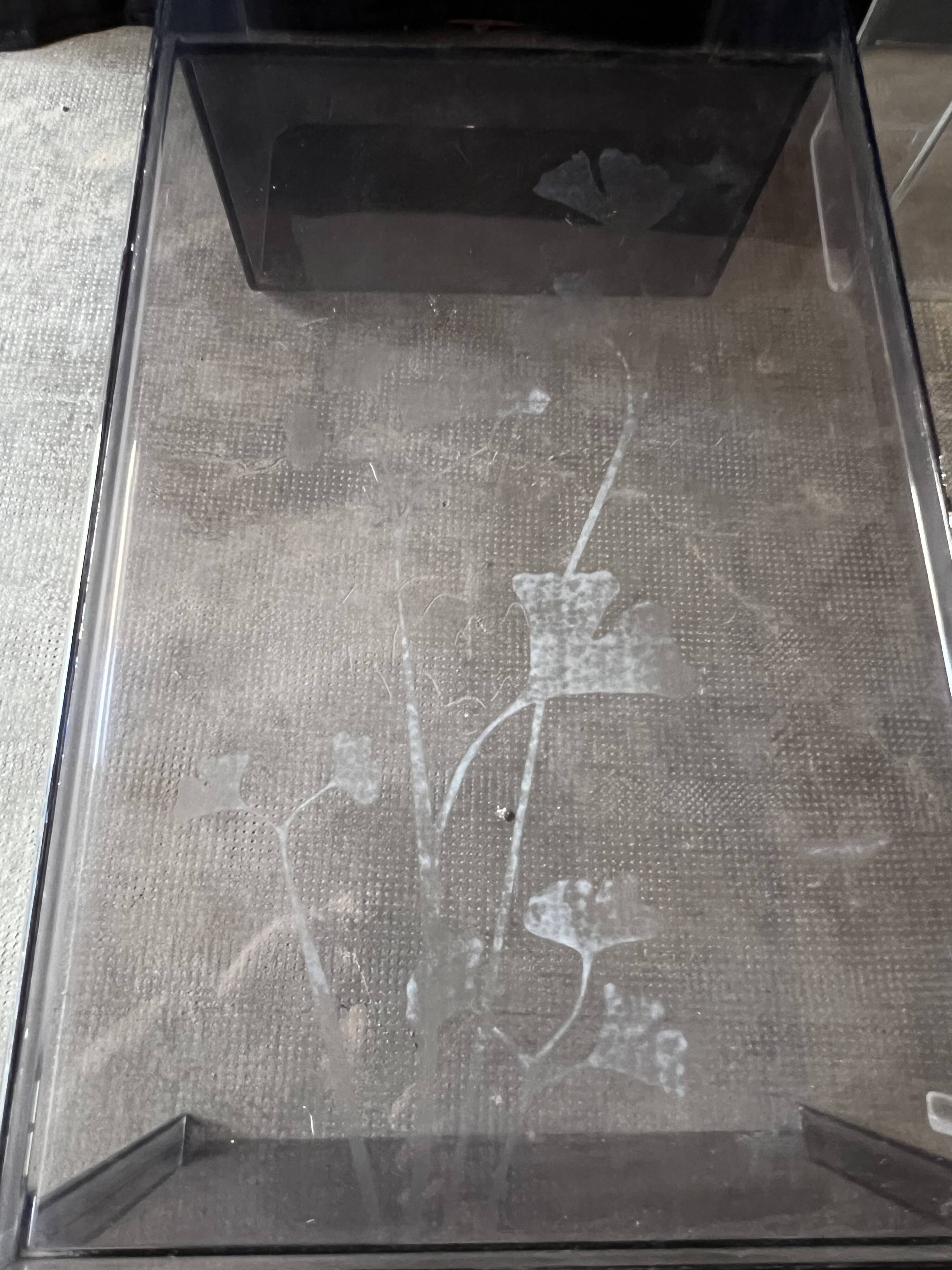 Pair of kartell coffee table