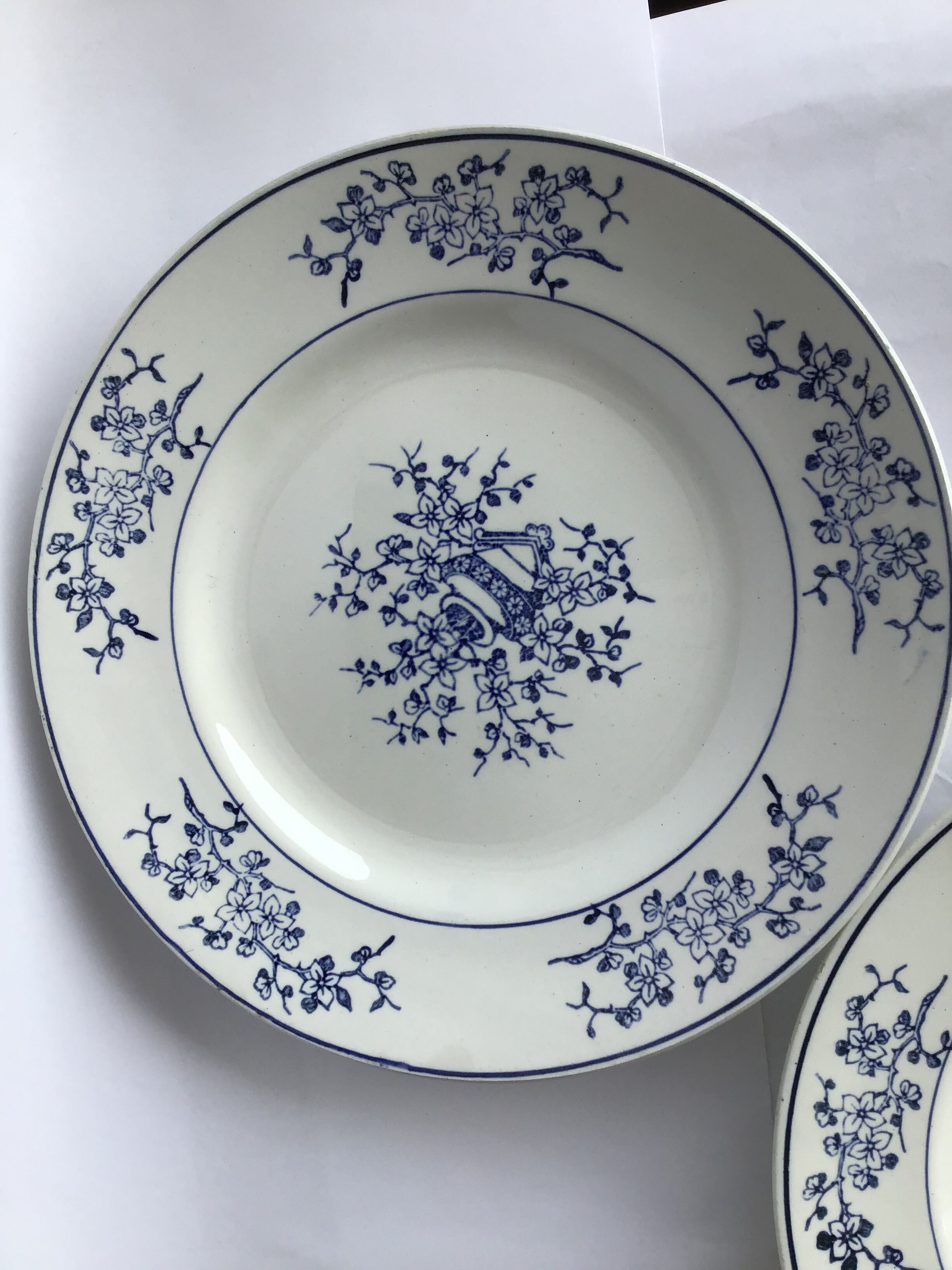Paire assiettes Terre de Fer St Amand marine et blanc