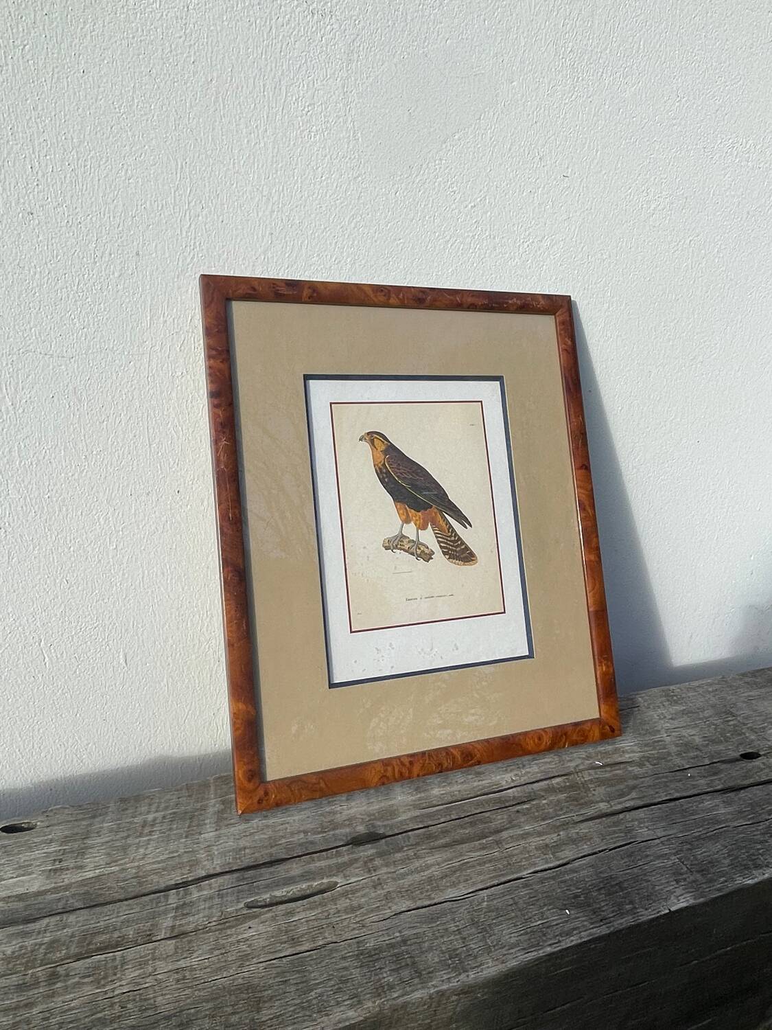 Cadre oiseau bois