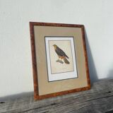 Wooden bird frame