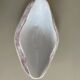 Lebacqz & Bouchart St Amand Nord Glycines pink ironstone sauceboat