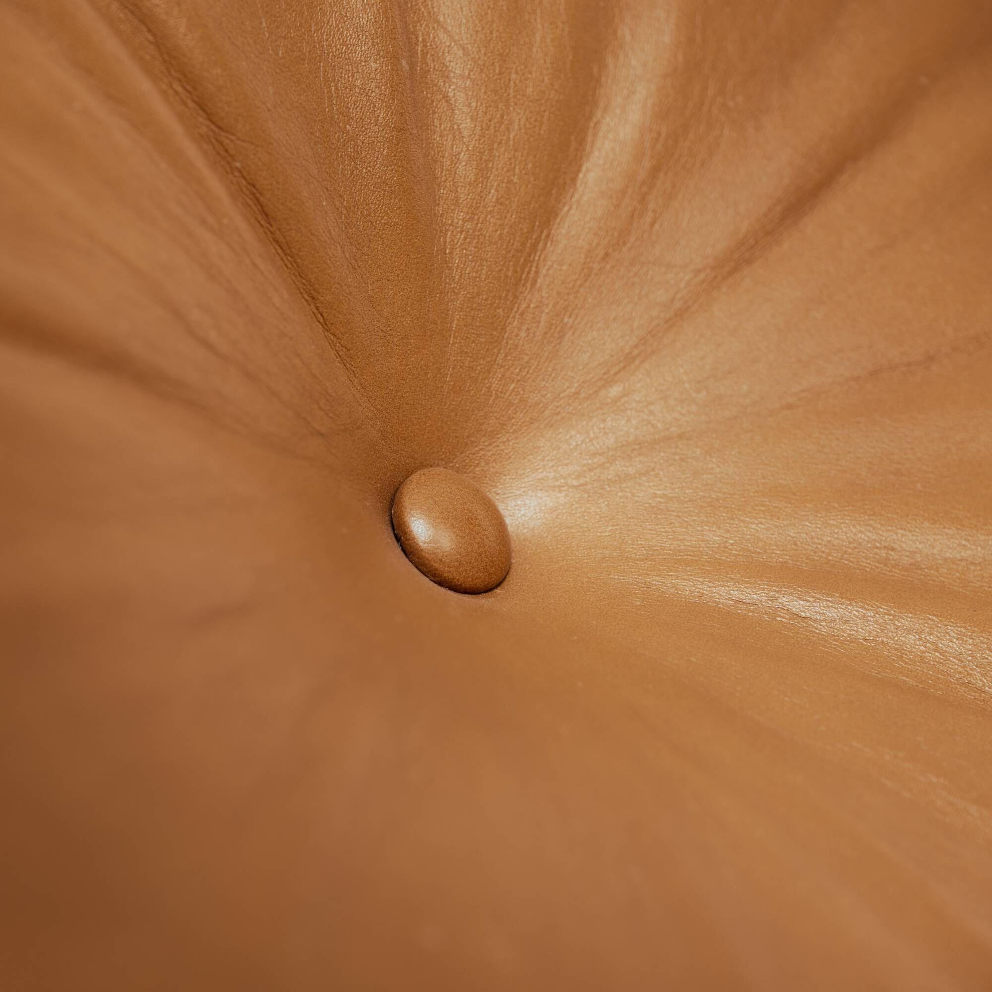 Armchair in Jacaranda Wood and Leather by Celina Decorações, Brazil, 1950s