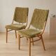 Bentwood dining chairs set of 4, retro beech wood & olive velour, TON 1960s–1970s, Czechoslovakia