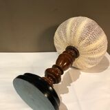 Sea urchin for Cabinet of Curiosities