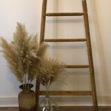Solid wood ladder